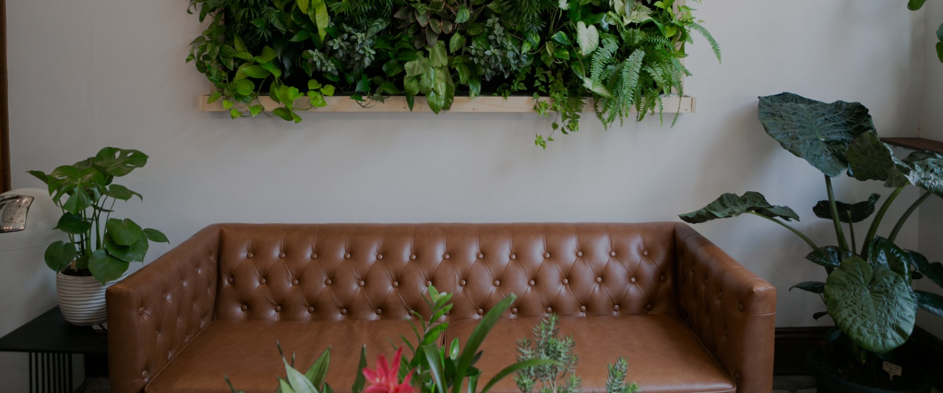 Interior Designers in Indianapolis: Custom Plants and Greenery for Your Home
