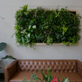 Interior Designers in Indianapolis: Custom Plants and Greenery for Your Home